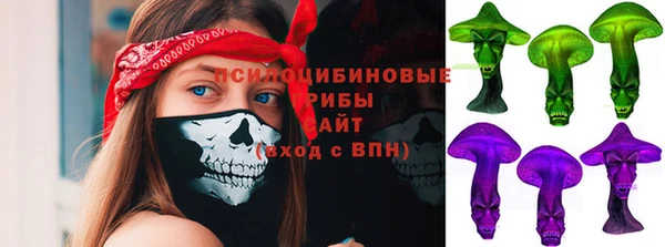 СК Кукмор